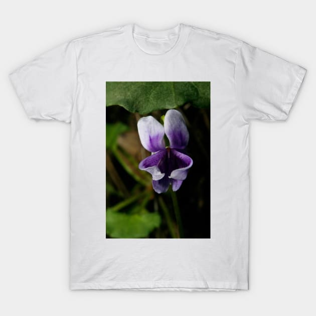 Violet Treasure T-Shirt by GP1746